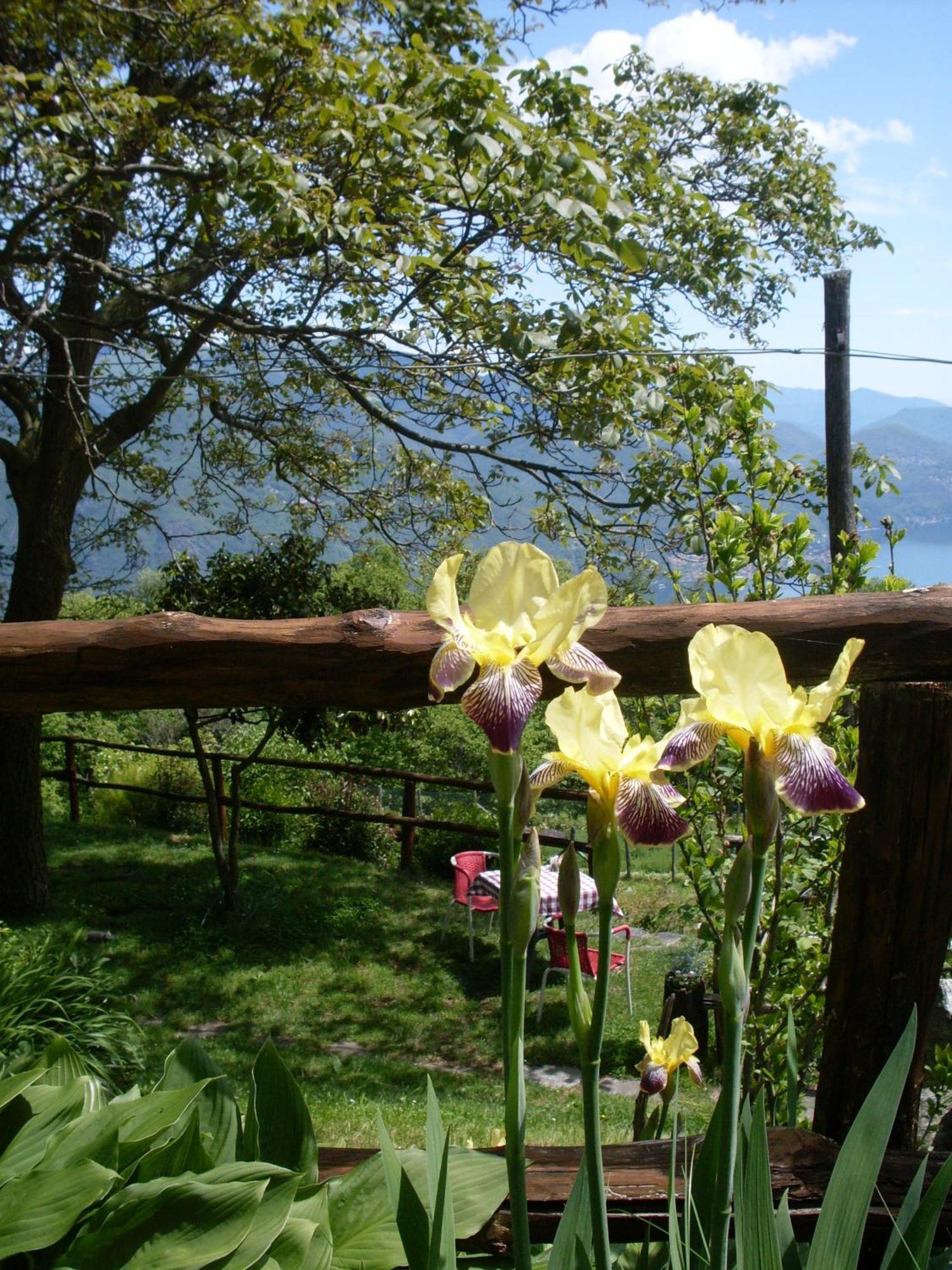 Agriturismo Da Attilio Cannobio Exteriör bild